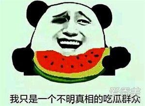 网语吃瓜群众是意思,网络时代的围观力量