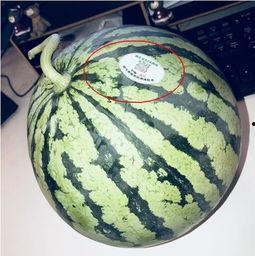 武穴网红吃瓜,揭秘网络舆论背后的真相